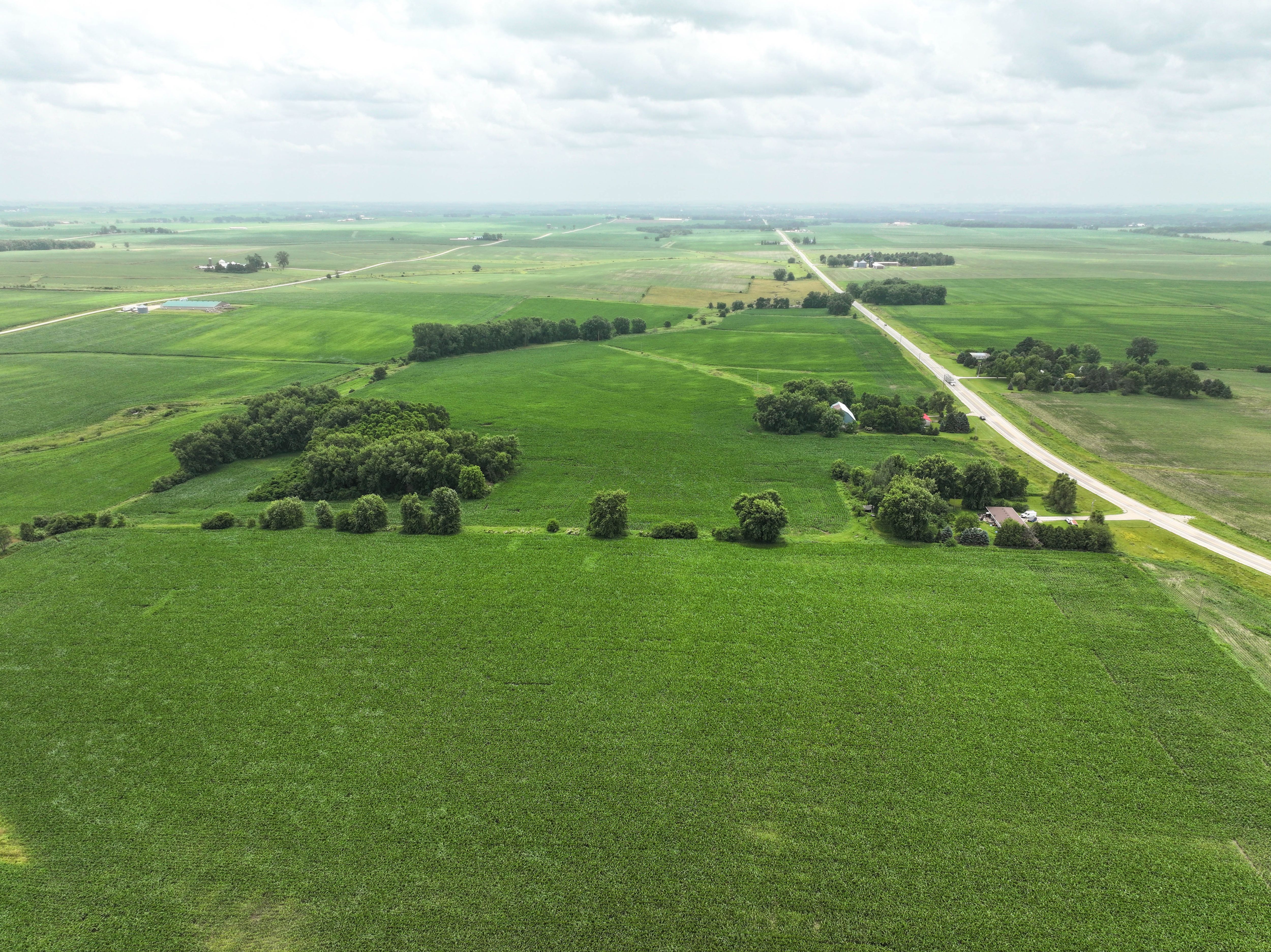 Listing Photo: 5 - Buchanan County Land